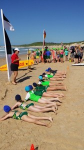 SBSLSC Nippers